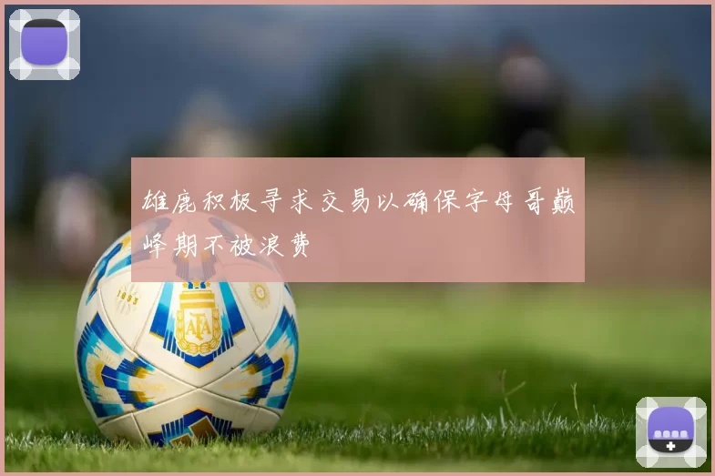 雄鹿积极寻求交易以确保字母哥巅峰期不被浪费