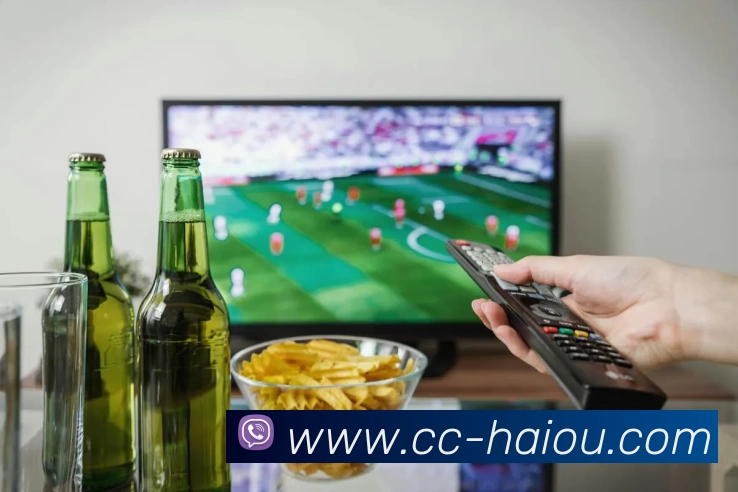 多媒体互动体验