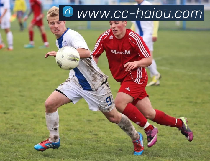 海鸥体育APP 体育赛事宣传图